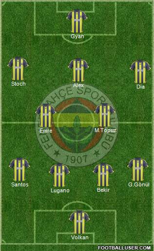 Fenerbahçe SK Formation 2010