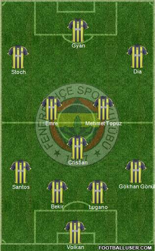 Fenerbahçe SK Formation 2010