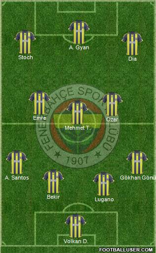 Fenerbahçe SK Formation 2010