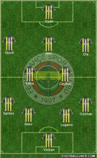 Fenerbahçe SK Formation 2010