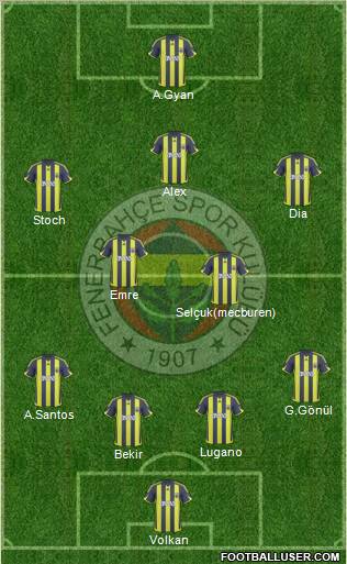 Fenerbahçe SK Formation 2010