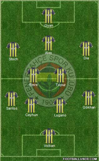 Fenerbahçe SK Formation 2010