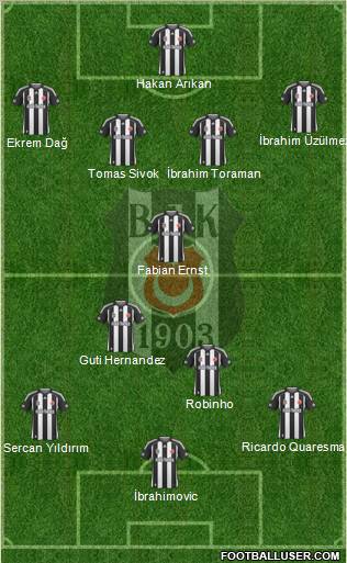 Besiktas JK Formation 2010