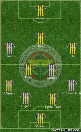 Fenerbahçe SK Formation 2010