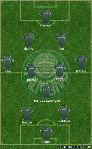 SE Palmeiras Formation 2010