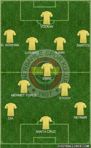 Fenerbahçe SK Formation 2010