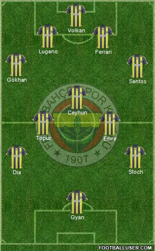 Fenerbahçe SK Formation 2010