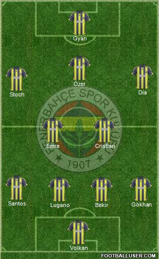 Fenerbahçe SK Formation 2010
