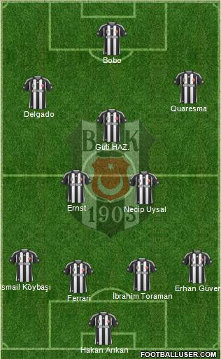 Besiktas JK Formation 2010