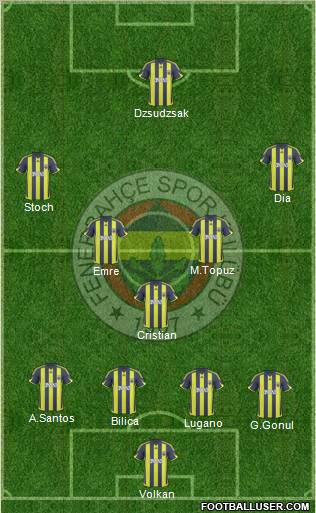 Fenerbahçe SK Formation 2010