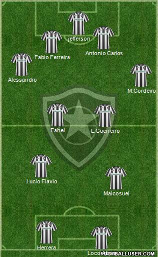 Botafogo FR Formation 2010