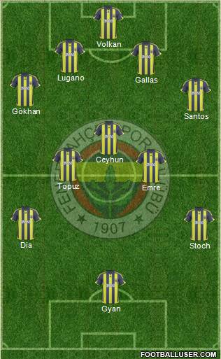 Fenerbahçe SK Formation 2010
