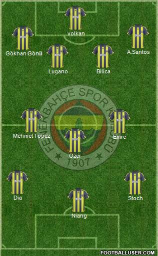 Fenerbahçe SK Formation 2010
