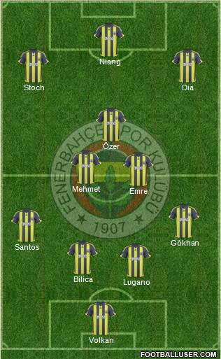 Fenerbahçe SK Formation 2010