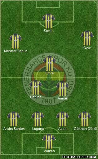 Fenerbahçe SK Formation 2010