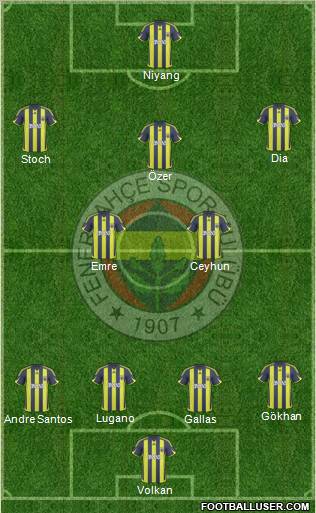 Fenerbahçe SK Formation 2010