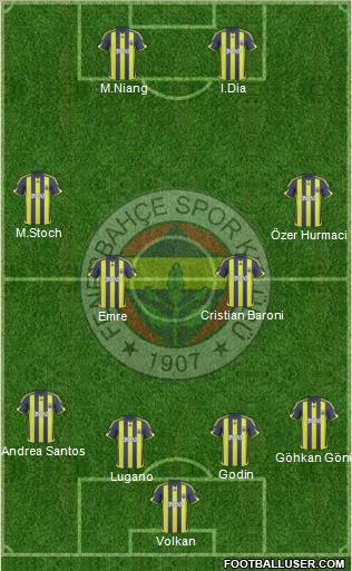 Fenerbahçe SK Formation 2010