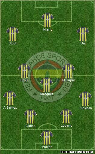 Fenerbahçe SK Formation 2010