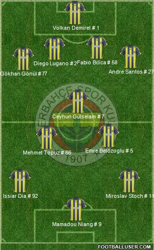 Fenerbahçe SK Formation 2010