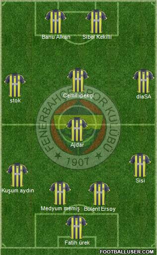 Fenerbahçe SK Formation 2010