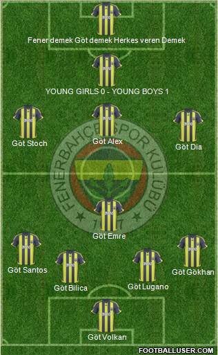Fenerbahçe SK Formation 2010