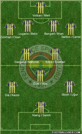 Fenerbahçe SK Formation 2010