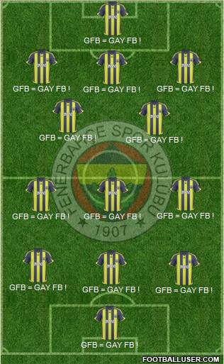 Fenerbahçe SK Formation 2010
