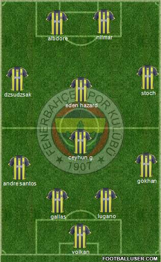 Fenerbahçe SK Formation 2010