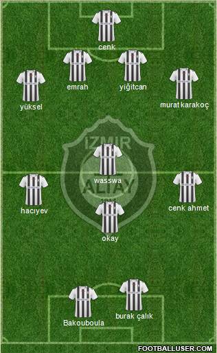 Altay Formation 2010