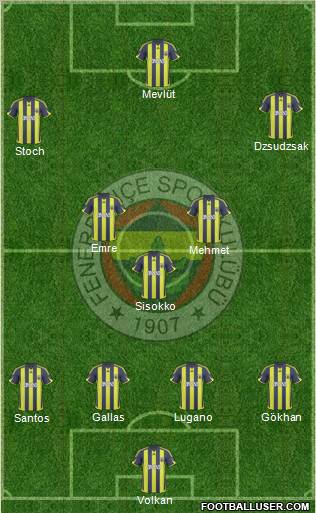 Fenerbahçe SK Formation 2010