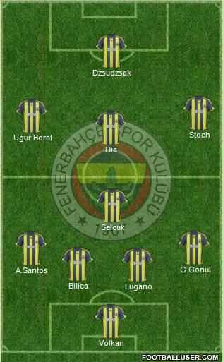 Fenerbahçe SK Formation 2010