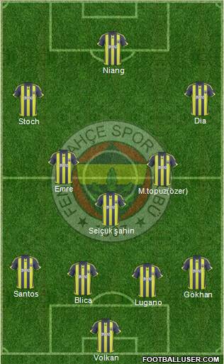 Fenerbahçe SK Formation 2010