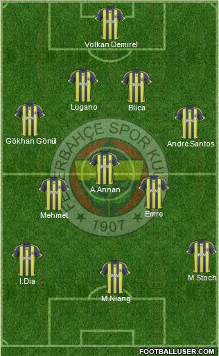 Fenerbahçe SK Formation 2010