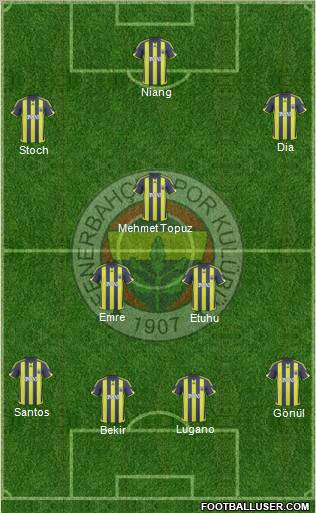 Fenerbahçe SK Formation 2010
