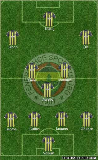Fenerbahçe SK Formation 2010