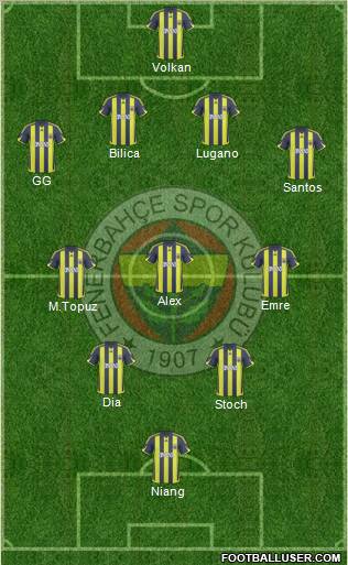 Fenerbahçe SK Formation 2010