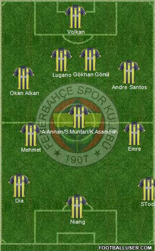 Fenerbahçe SK Formation 2010