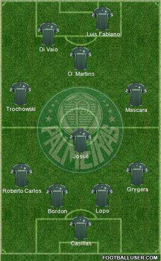 SE Palmeiras Formation 2010