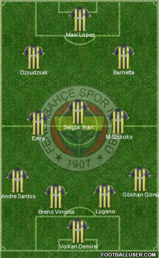 Fenerbahçe SK Formation 2010