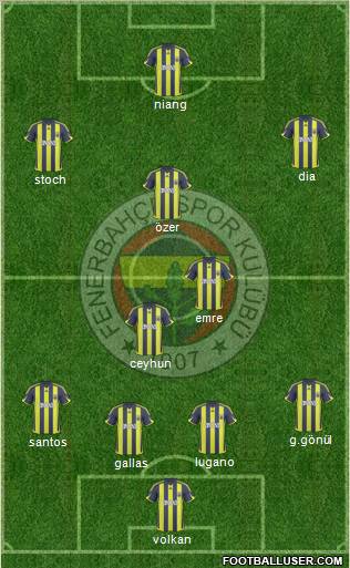 Fenerbahçe SK Formation 2010