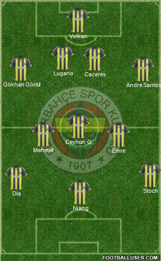 Fenerbahçe SK Formation 2010