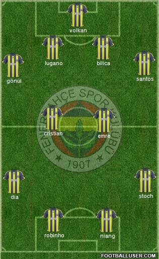 Fenerbahçe SK Formation 2010