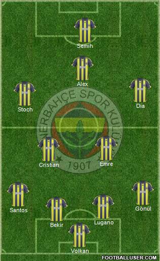 Fenerbahçe SK Formation 2010