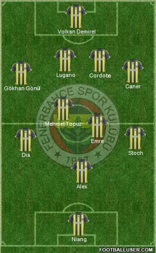 Fenerbahçe SK Formation 2010
