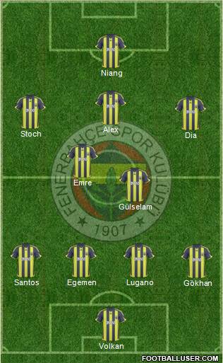 Fenerbahçe SK Formation 2010