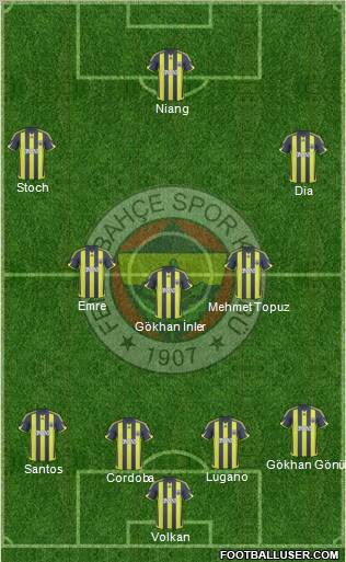 Fenerbahçe SK Formation 2010