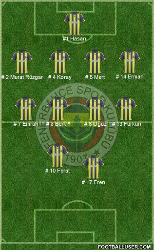 Fenerbahçe SK Formation 2010