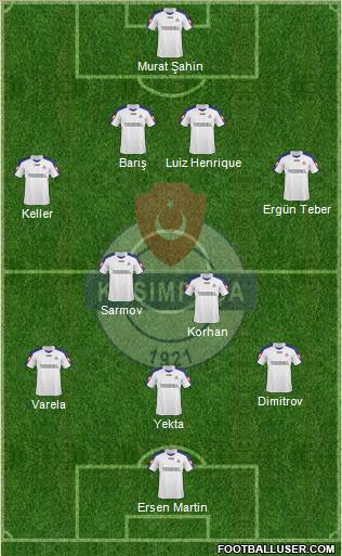 Kasimpasa Formation 2010
