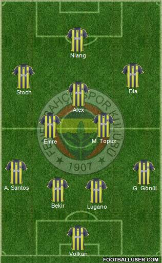 Fenerbahçe SK Formation 2010