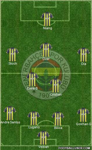 Fenerbahçe SK Formation 2010